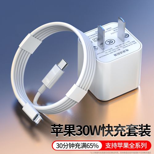 有小杜的充電器線嗎_小杜的充電器多少錢